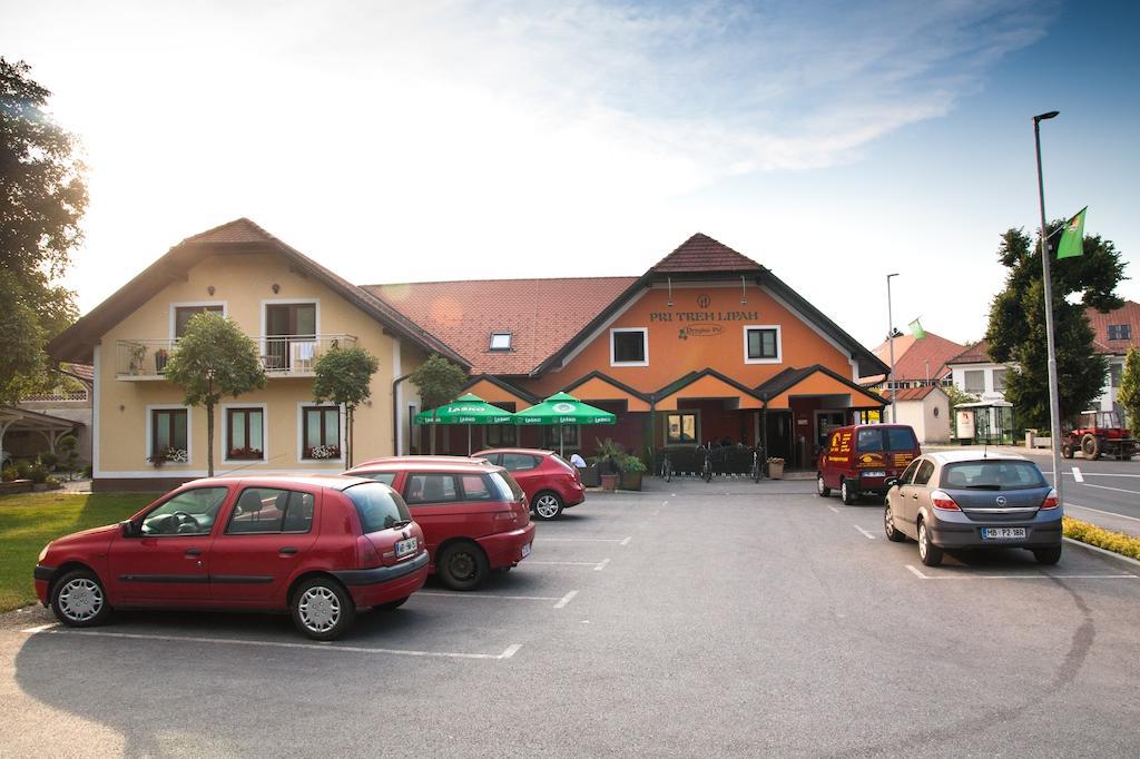 Guest House Pri Treh Lipah Ptuj Exterior photo